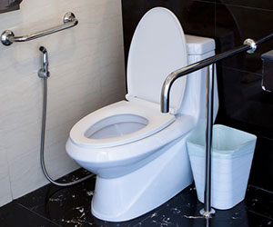 best flushing toilets