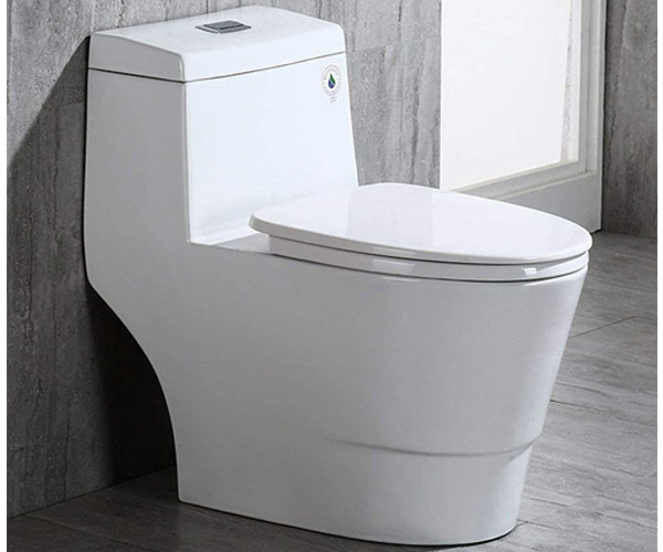 WOODBRIDGE T-0019 – Dual Flush One Piece Comfort Height No Clog Toilet in 2021